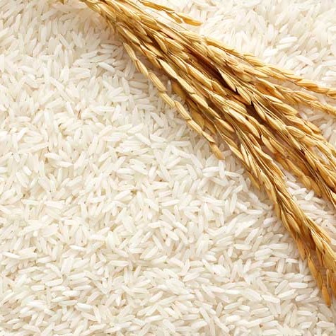 FSS Foaming Rice PF