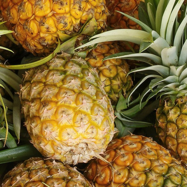 FSS Pineapple Enzyme Extract PF