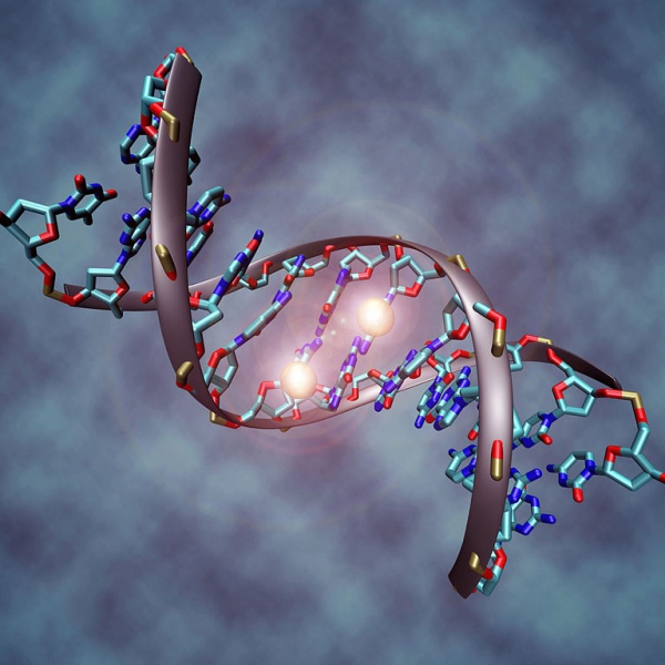 FSS RNA/DNA Complex PET