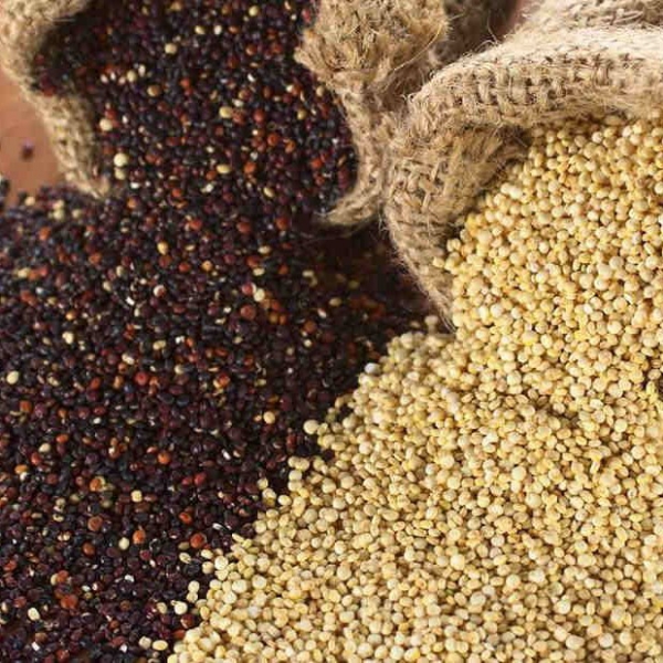 FSS Quinoa Protein