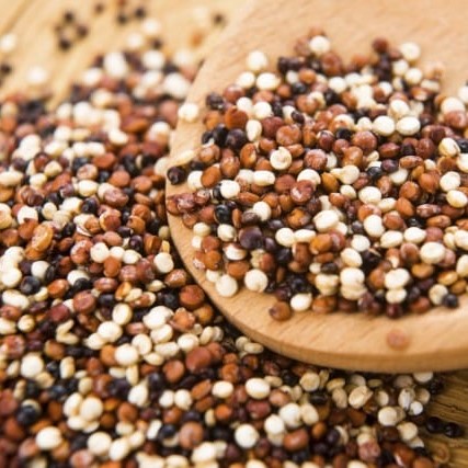 FSS Quinoa Protein