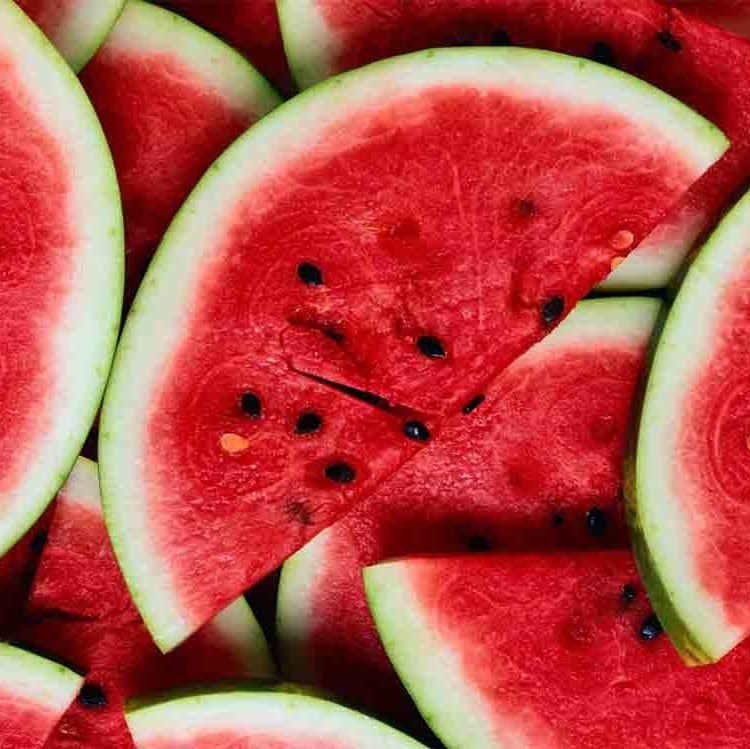 FSS Watermelon Extract G