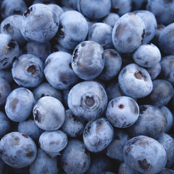 FSS Phyto-Biotics Blueberry