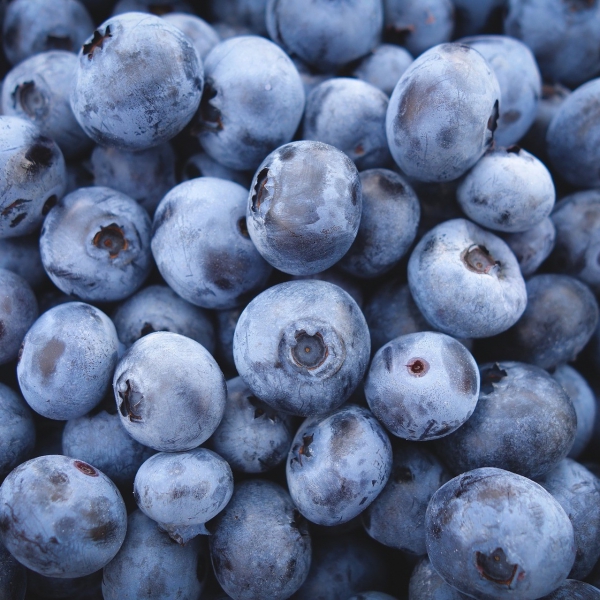 Blueberry fruit discount