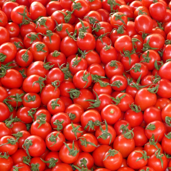 FSS Tomato Bioferment PF