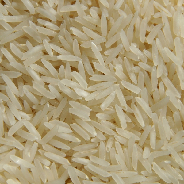 FSS Rice Lipids Plus