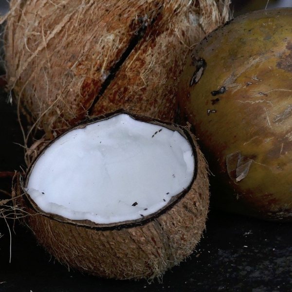 FSS Coconut Shell Exfoliate
