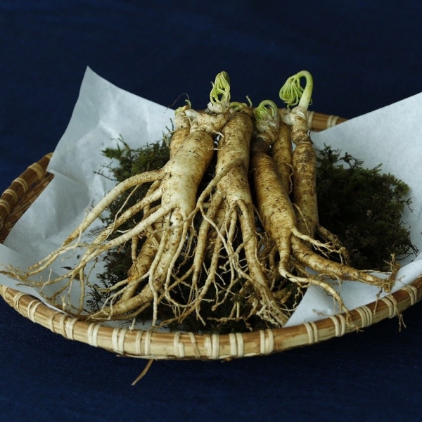 FSS Ginseng Powder