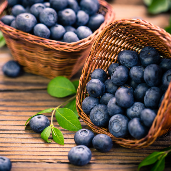 FSS Blueberry Extract G