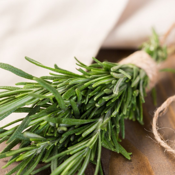 FSS Rosemary Leaf Extract OS 