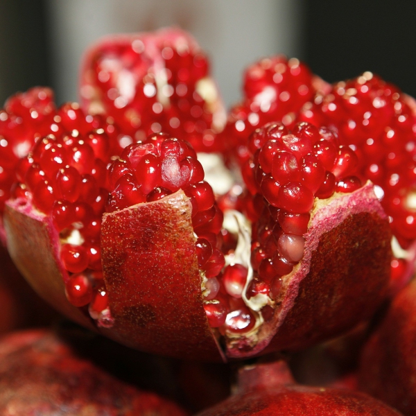 FSS Pomegranate Sterols